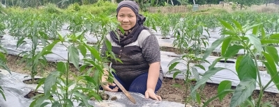 PENDAMPINGAN MASYARAKAT DALAM MENGELOLA SUMBER PENGHIDUPAN DI NIAS